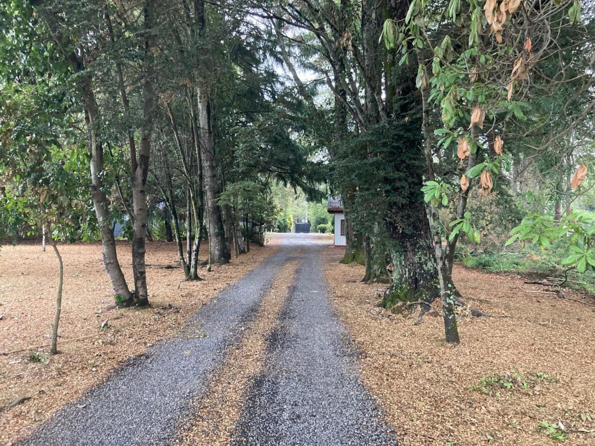 Motel Los Robles Temuco Dış mekan fotoğraf
